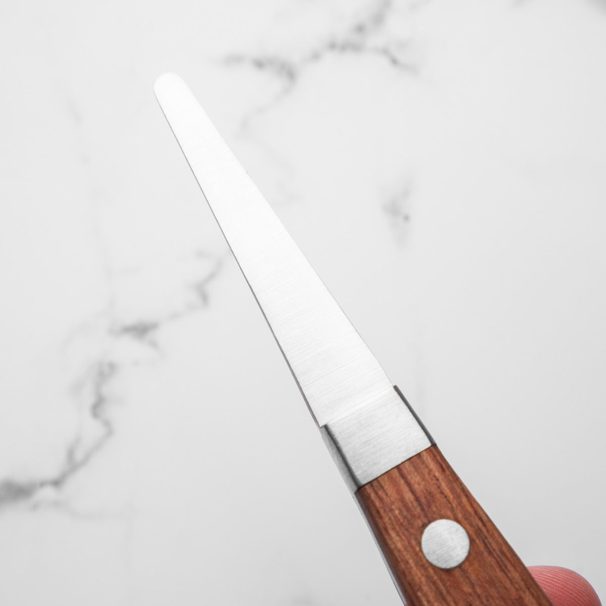 Oyster Knife - Small