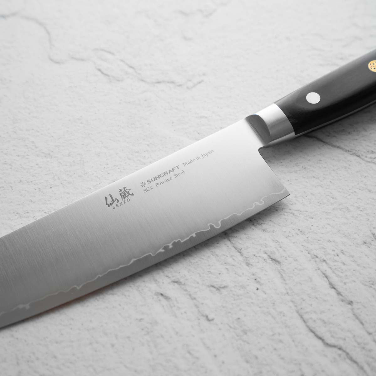 Senzo Professional SG2 Gyuto 210mm