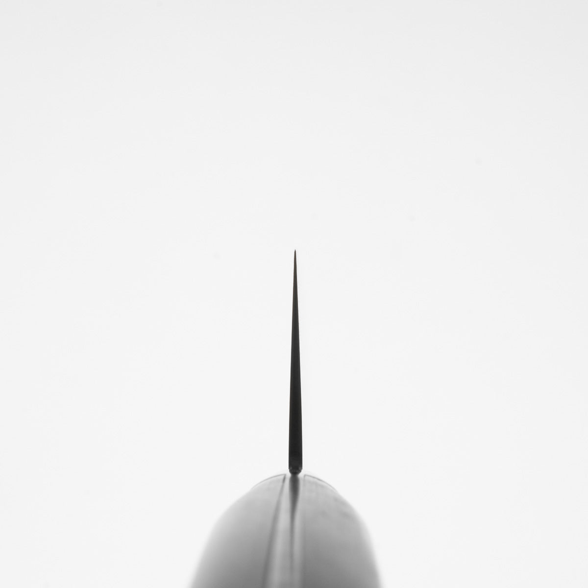 Senzo Professional SG2 Gyuto 210mm