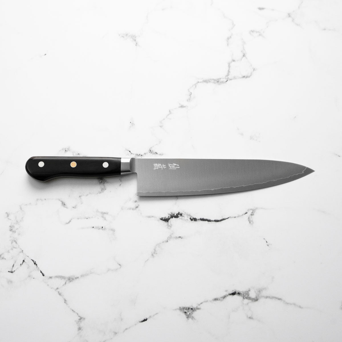 Senzo Professional SG2 Gyuto 210mm